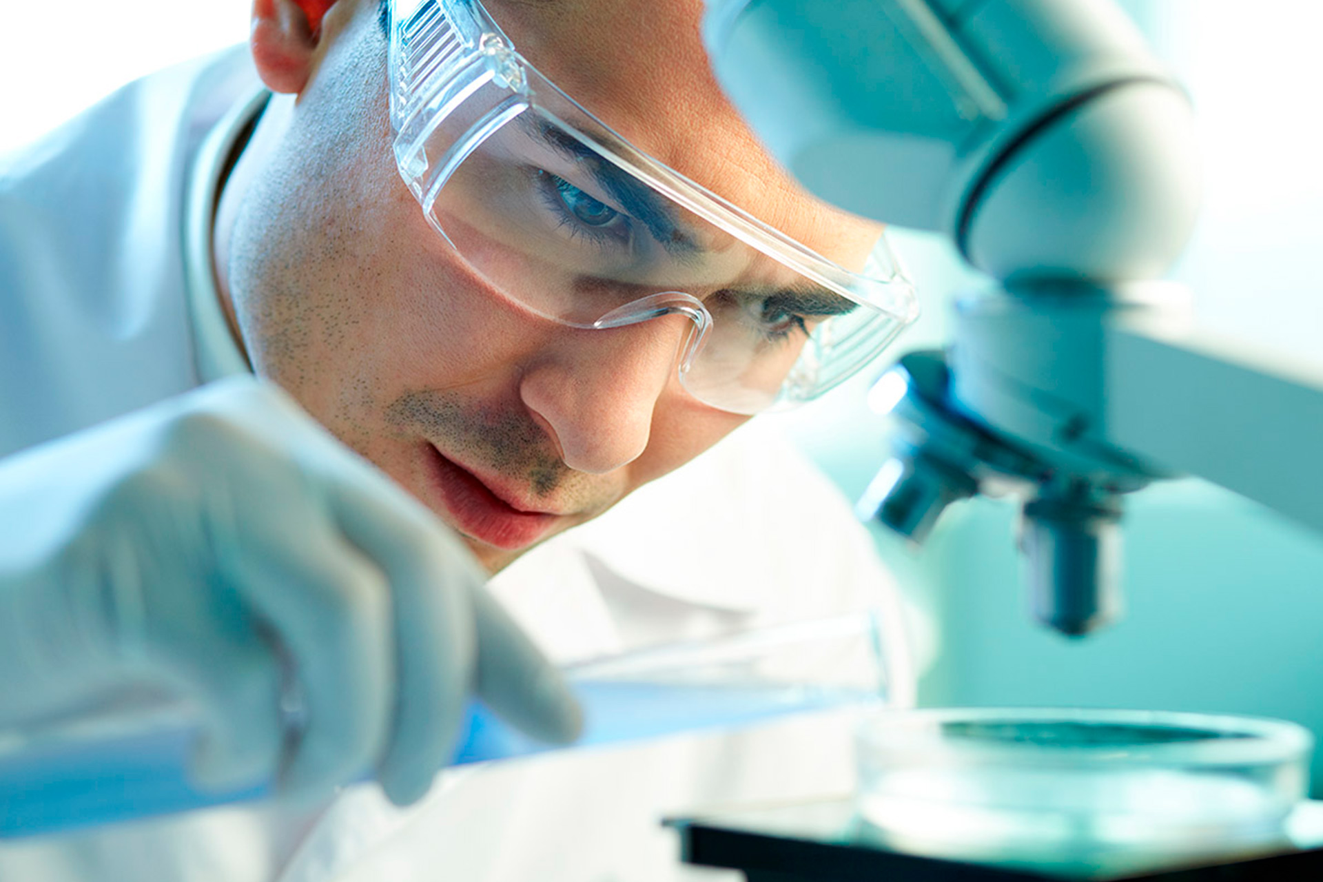 Lorem ipsum dolor sit amet